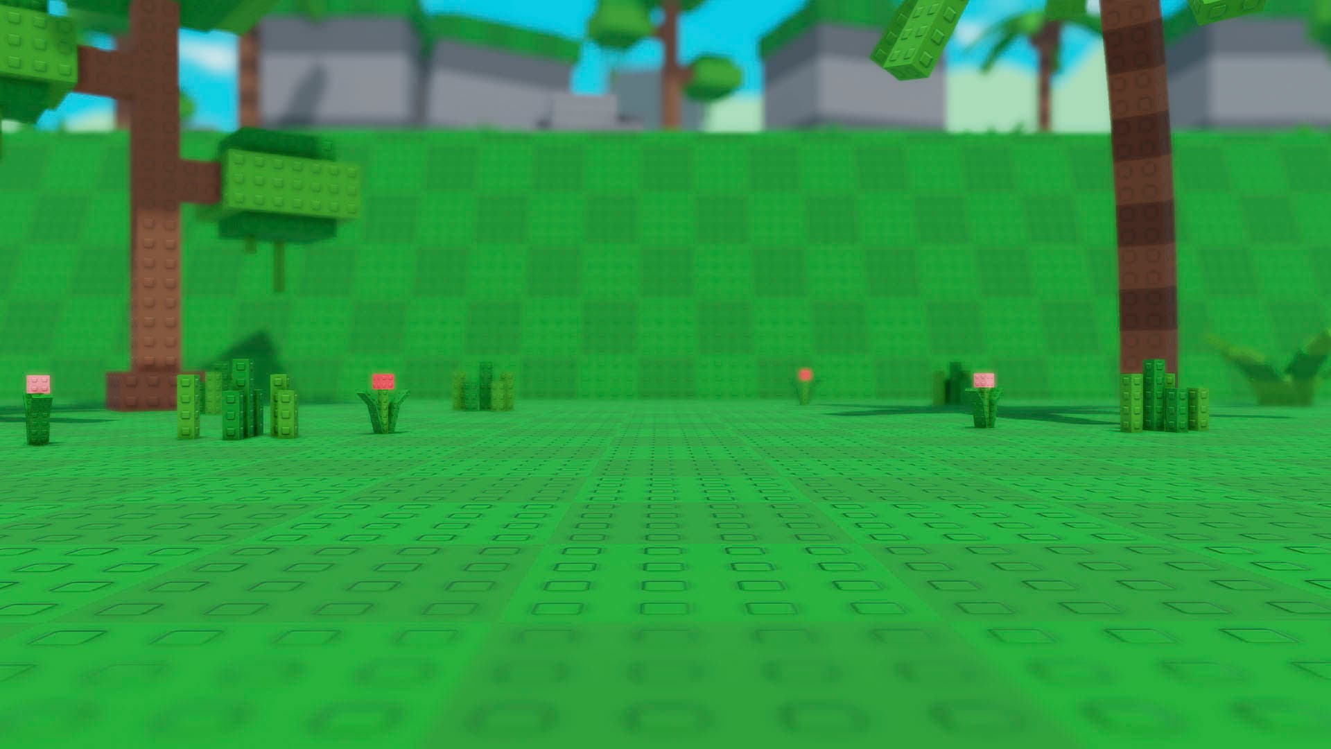 Contact Background
